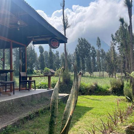 Gangga Guest House Bromo Ngadisari Exterior foto